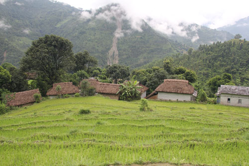 Agriculture and Environment Protection 